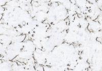 Пробковый пол Corkstyle Wall Design Monte Snow